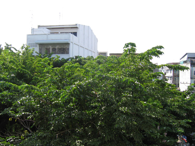 center view